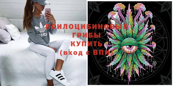 стаф Волгодонск