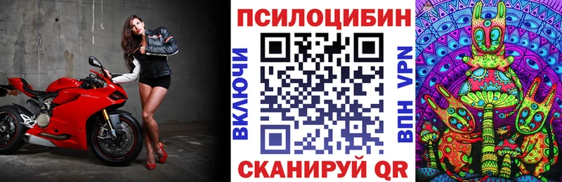 что такое   Каменск-Уральский  Псилоцибиновые грибы ЛСД 