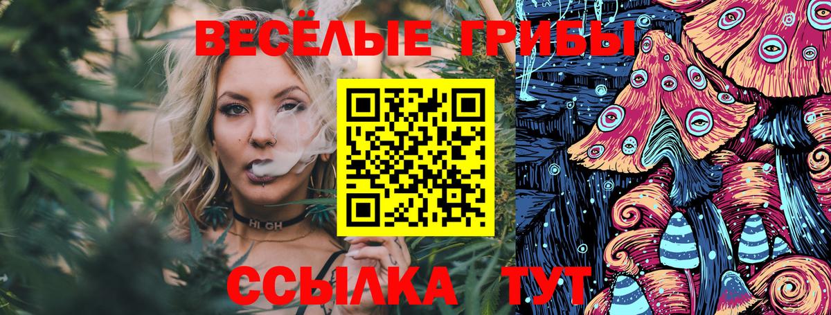 Псилоцибиновые грибы Cubensis  Вход с VPN  Каменск-Уральский 