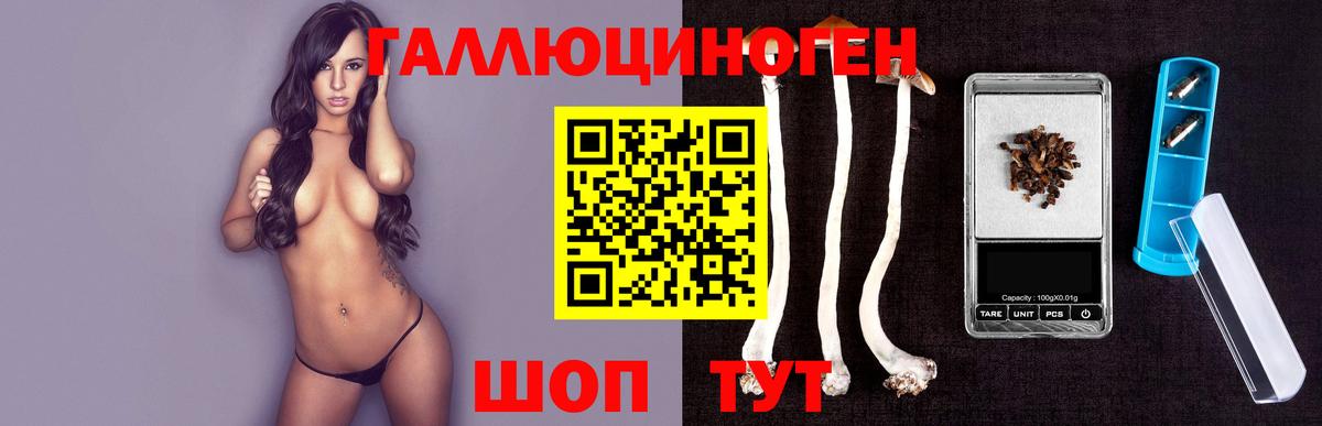 Псилоцибиновые грибы Cubensis  Псилоцибиновые грибы Psilocybe  закладки  Каменск-Уральский 